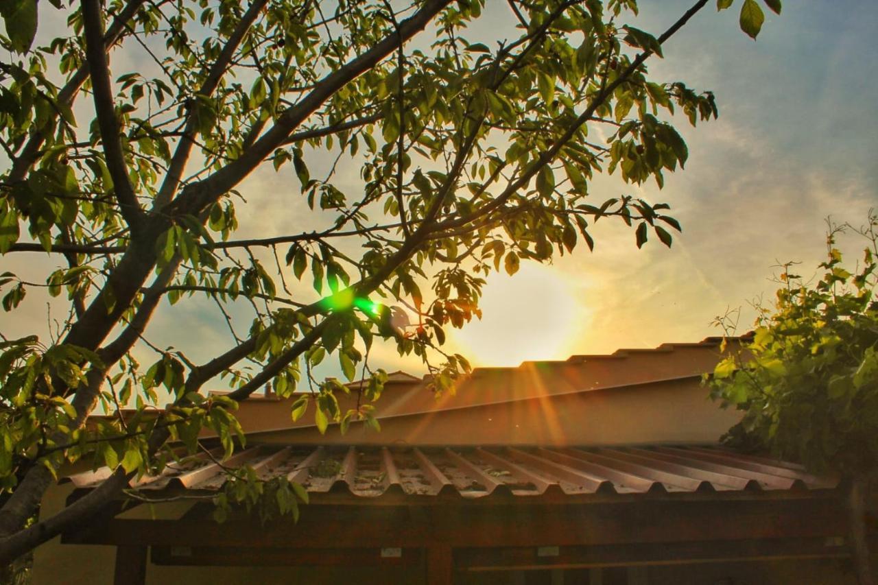 Apartment Taja, Cijela Kuca I Vrt Samo Za Vas Split Dış mekan fotoğraf
